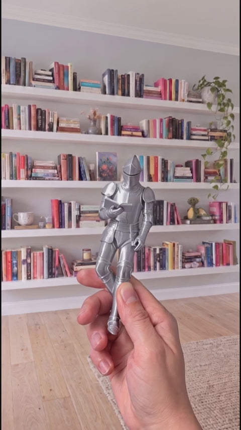 Le Chevalier lecteur entre les livres